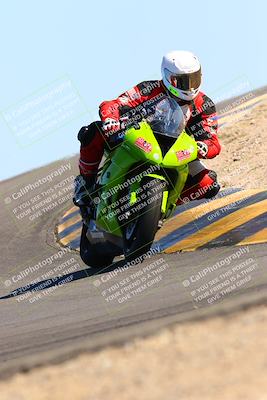 media/Feb-12-2022-SoCal Trackdays (Sat) [[3b21b94a56]]/Turn 12 (140pm)/